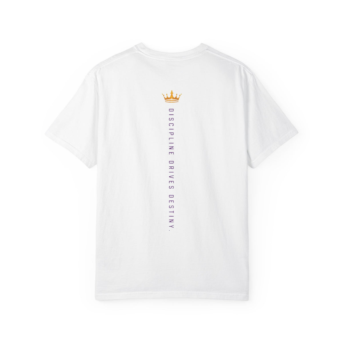 Axiom Logo T‑Shirt — 'Discipline Drives Destiny' Graphic Tee