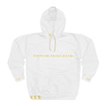 Motivational Axiom Hoodie — "Discipline Drives Destiny" Pullover