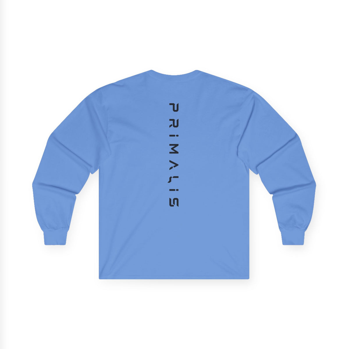 Unisex Ultra Cotton Long Sleeve Tee