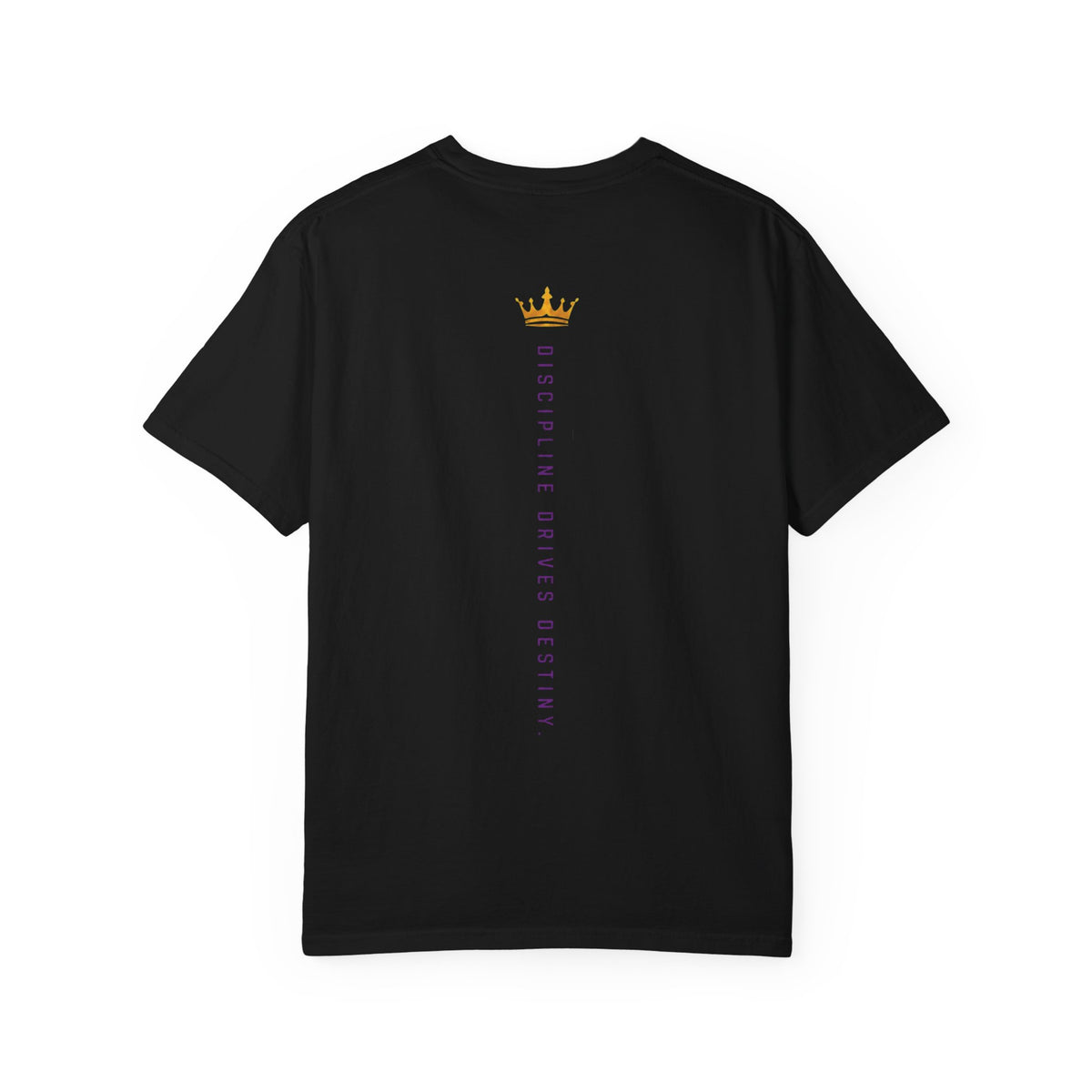 Axiom Logo T‑Shirt — 'Discipline Drives Destiny' Graphic Tee